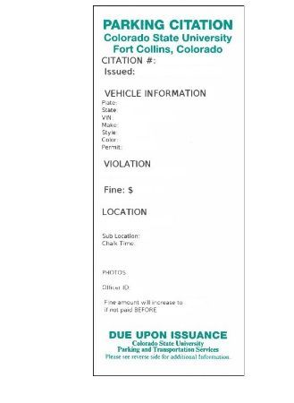 Picture for category Pay Parking Citations